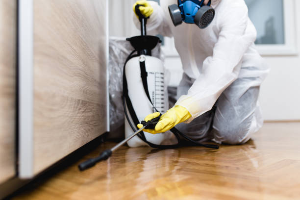 Best Best Pest Control Companies  in Plainview, MN