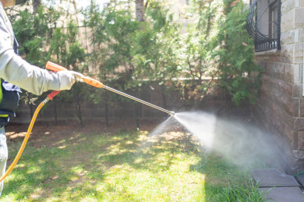 Best Wasp Removal Services  in Plainview, MN